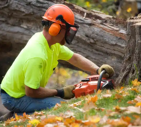 tree services Mississippi